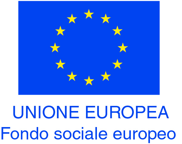 fondo sociale europeo formazione professionale disabili